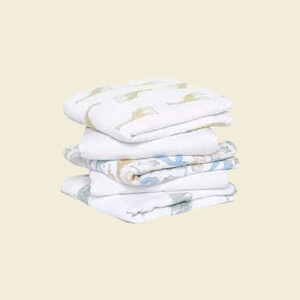 Aden + Anais Swaddle Blanket