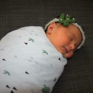 There are also many types of organic muslin swaddle blankets available in the market