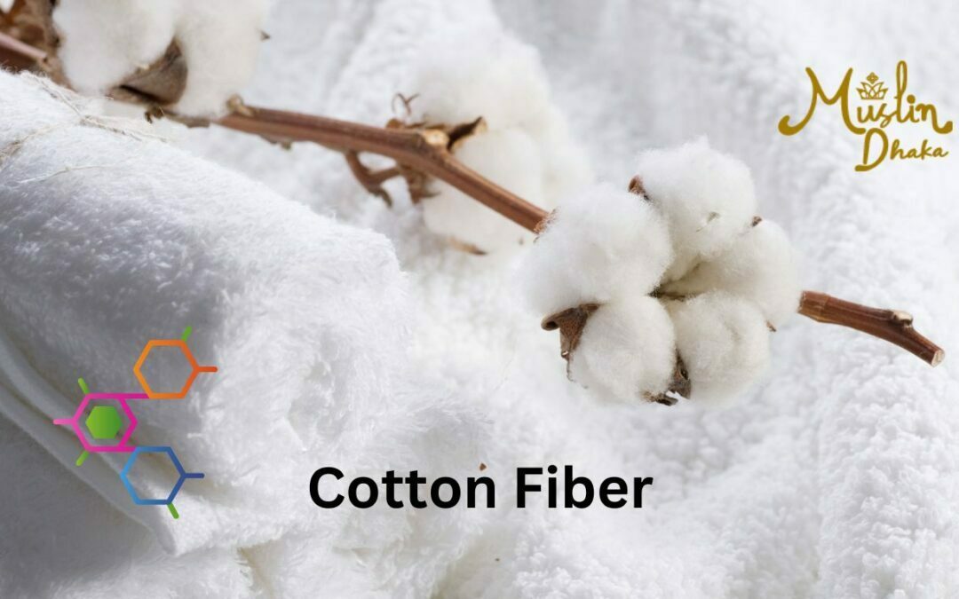 5 wow facts of Cotton Fiber we do not know specially last one!
