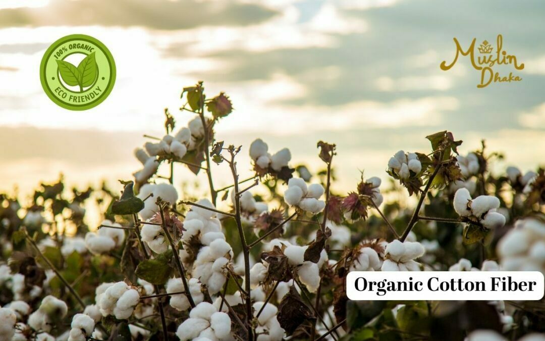Certified Organic Cotton Fiber : A complete guide in 2022