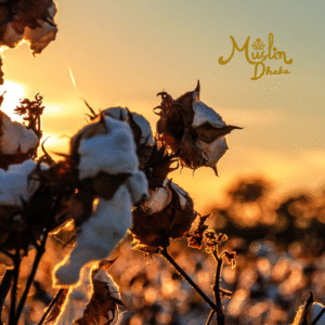 Types of Organic Cotton Fiber 