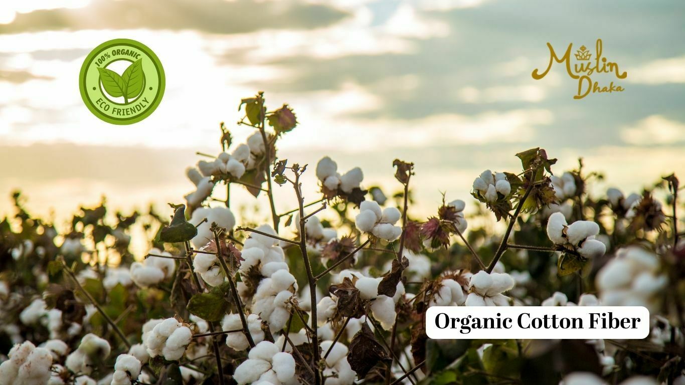 Organic Cotton Fiber