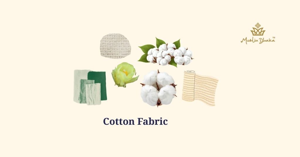 Surprising story of cotton fabric that will amaze you