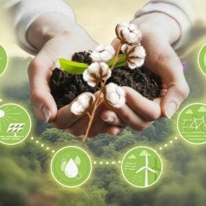 Cotton & Sustainability