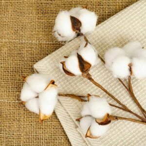 Making Fabric from Cotton Fiber