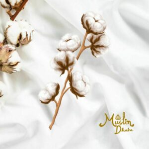 Cotton Fiber & Fabric