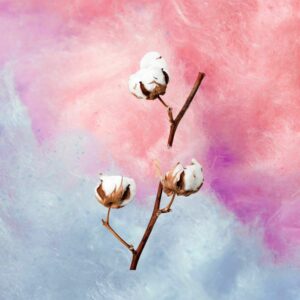 Types of Cotton Fabric