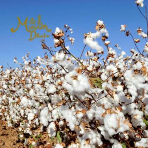 Types of Cotton Fiber