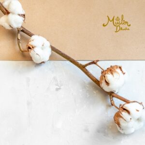 Characteristics of Pima