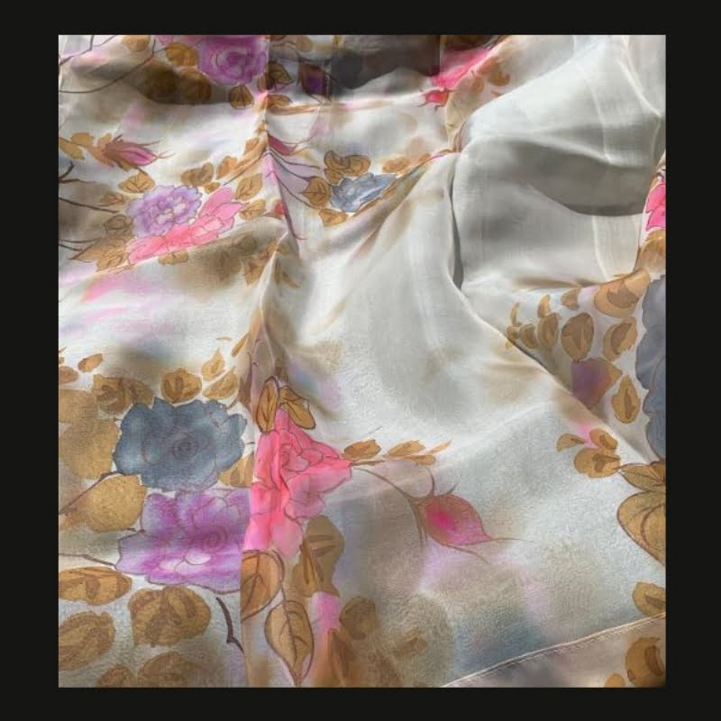 PiranUsaCloset Hand paint muslin saree