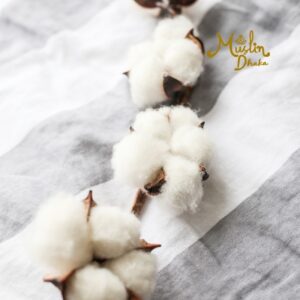 Characteristics of Egyptian cotton