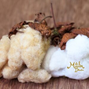 Difference between Pima & other cotton