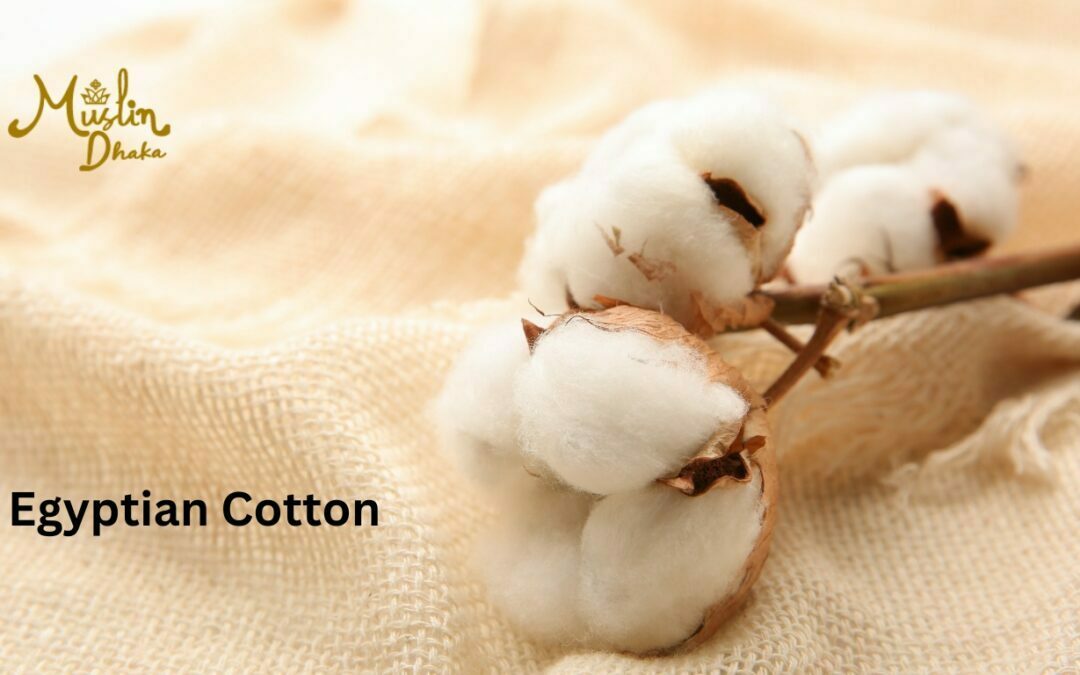 Famous Egyptian Cotton : Everything you need to know