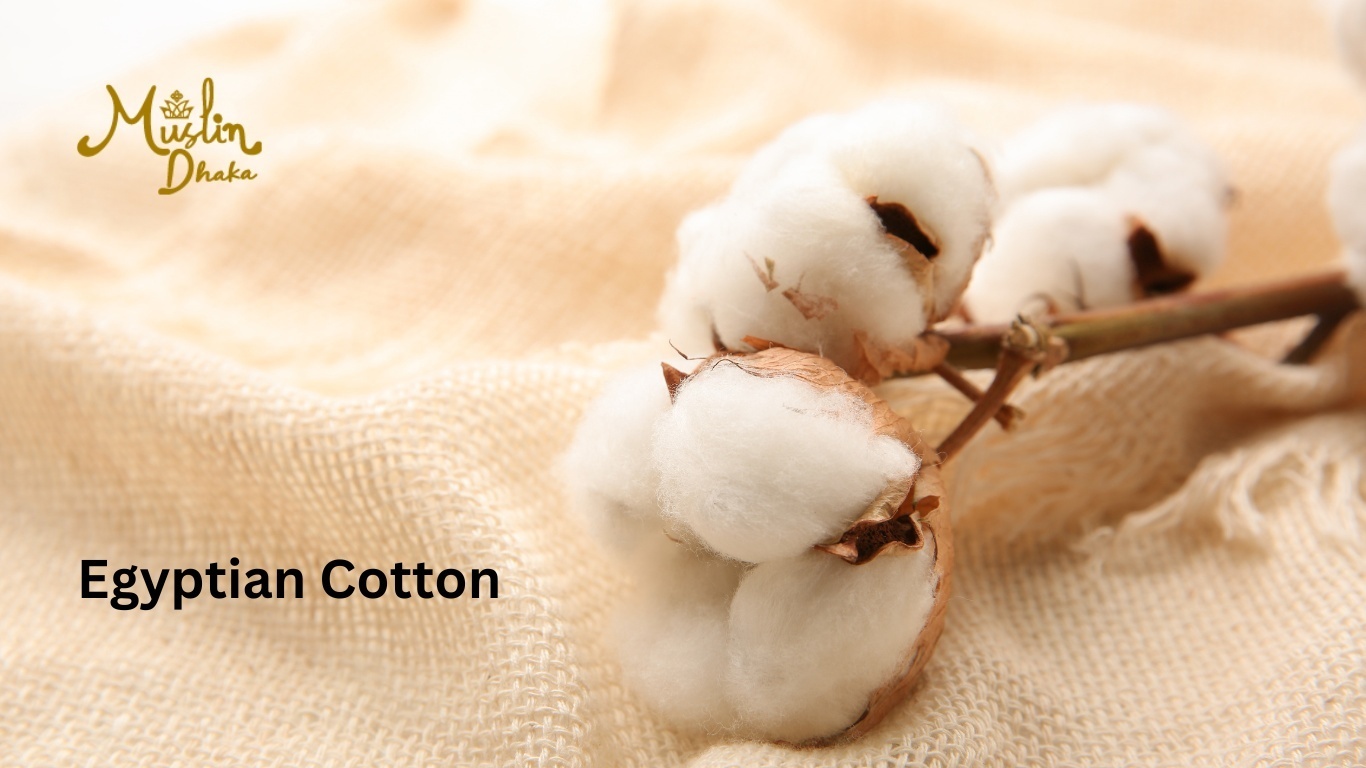 Egyptian Cotton Egyptian cotton