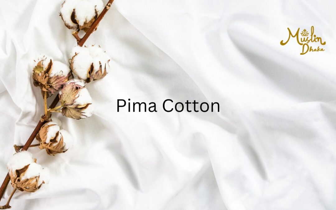 Elite Pima cotton : A complete guide