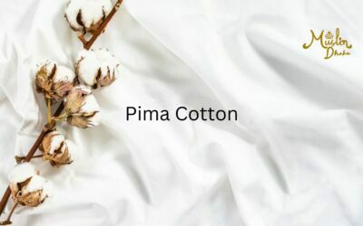 Elite Pima cotton : A complete guide