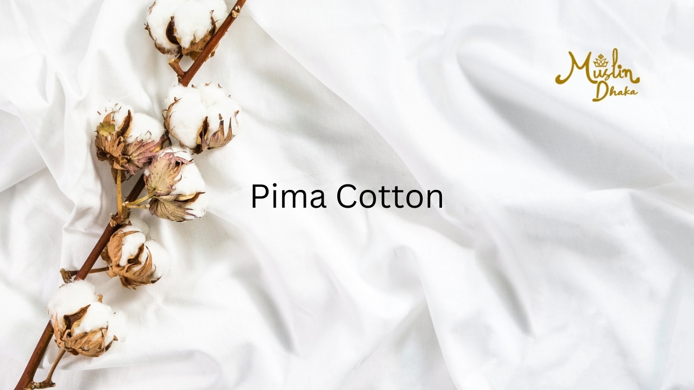 Pima Cotton