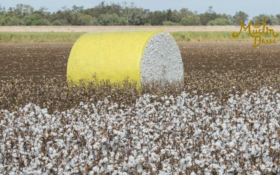 Awesome Cotton bales : A complete guide