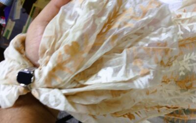 The future of Dhaka Muslin: reclaim 4000 years of exclusive Royalty?