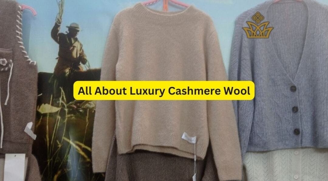 Elegant Cashmere wool: A Complete Guide