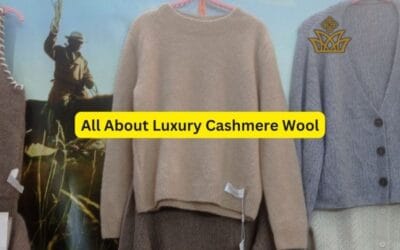Elegant Cashmere wool: A Complete Guide