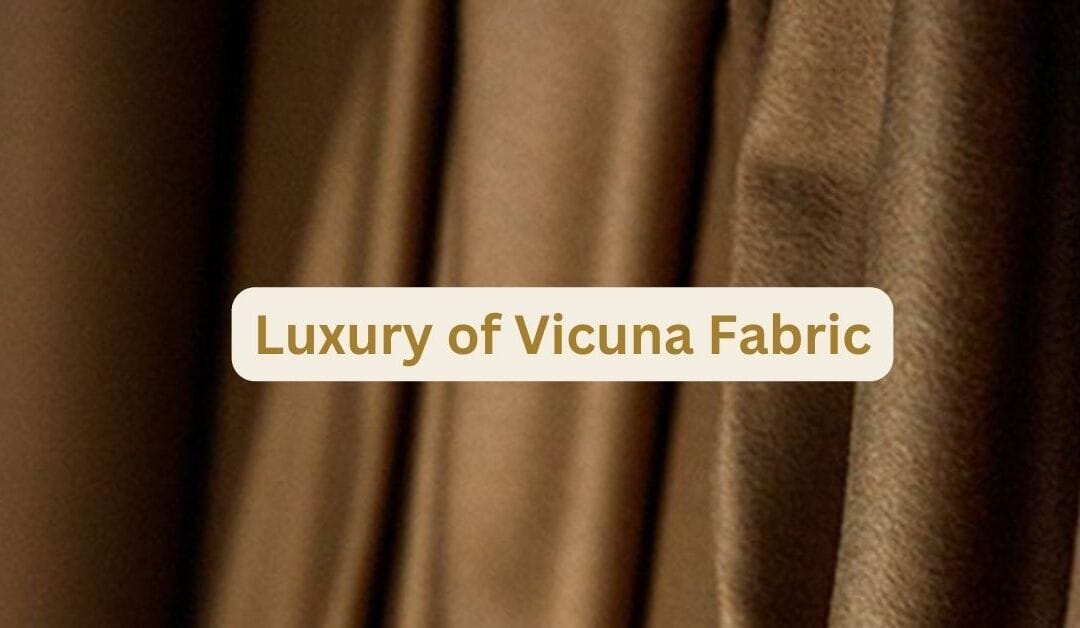 Luxury Vicuna Wool: The Soft Gold of Andalean Mountains