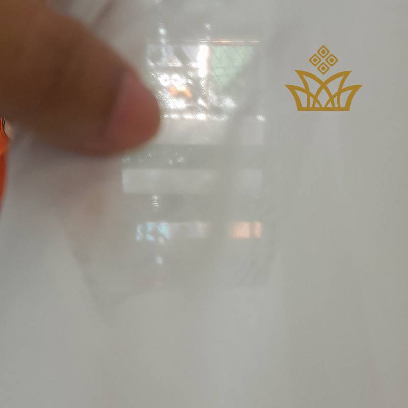 georgette see through