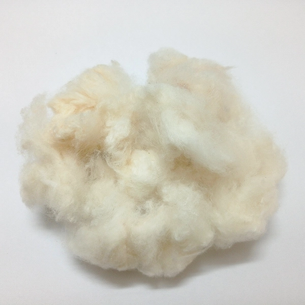Raw Cotton phuti karpus wihtout seeds after gining