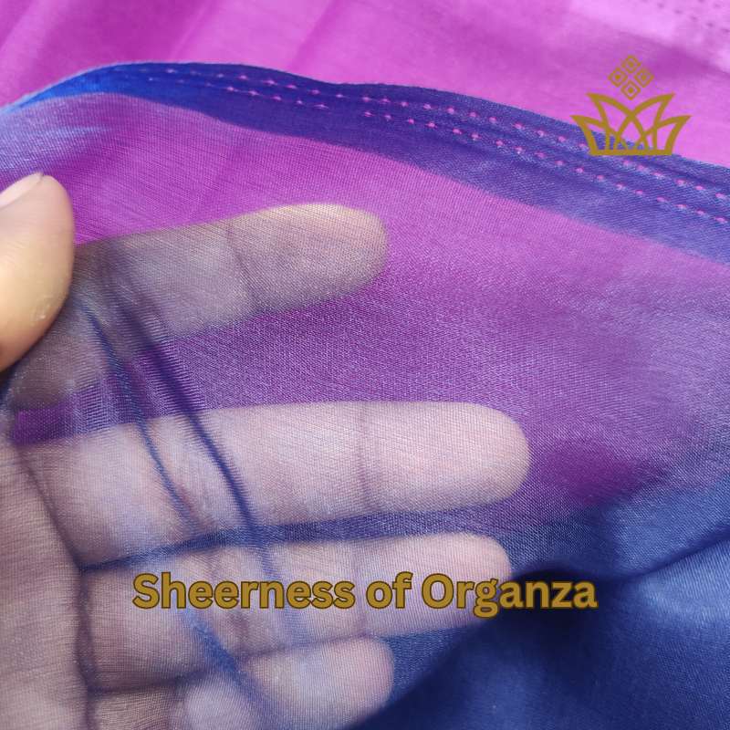 sheer Organza fabric