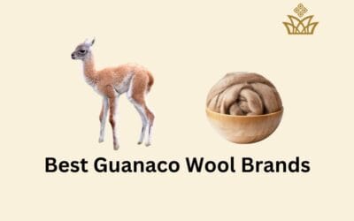 7 Best Guanaco Wool Brands: Explore Your Favorite One!