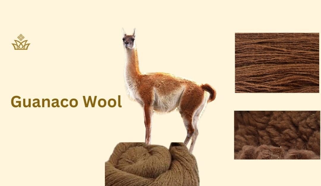 Guanaco Wool: A Timeless Luxury Fiber That Can Win You