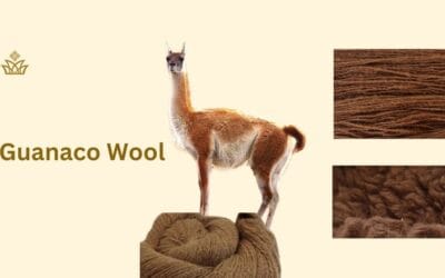 Guanaco Wool: A Timeless Luxury Fiber That Can Win You