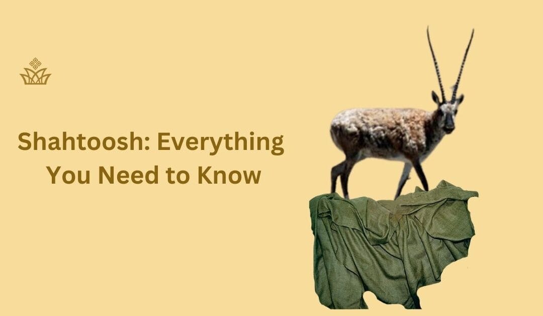 Shahtoosh: The Most Expensive Wool I Wish You Never Have 1!