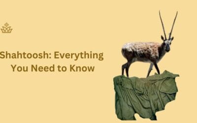 Shahtoosh: The Most Expensive Wool I Wish You Never Have 1!