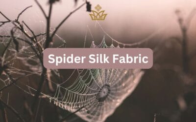 Golden Spider Silk Fabric: Powerful Fabric Ever Made