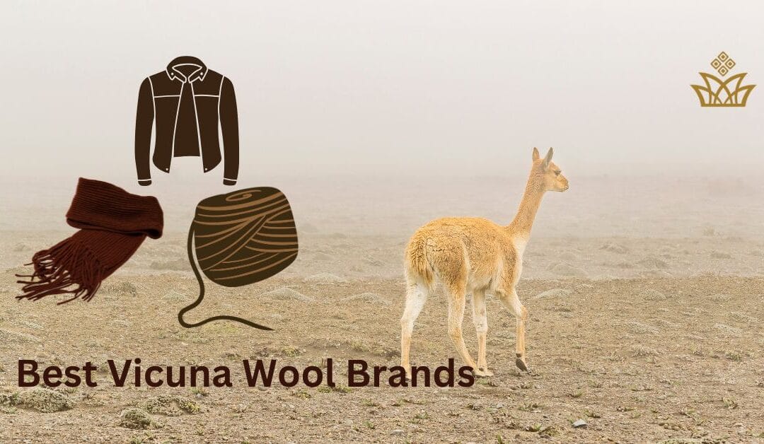 10 Best Vicuna Wool Brands You Must Check before Buy