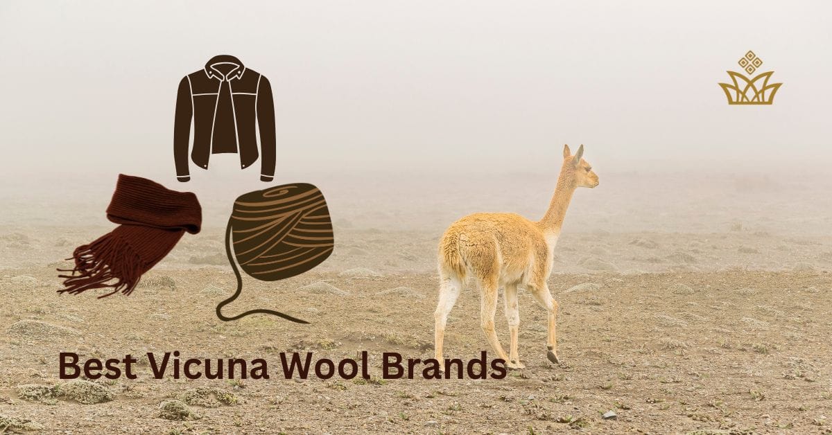 Best Vicuna Wool Brands