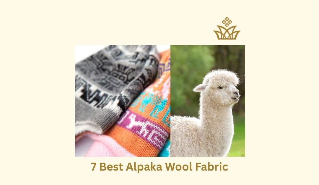 7 Best Alpaca Wool Brands to Buy in