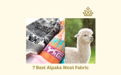 7 Best Alpaca Wool Brands to Buy in