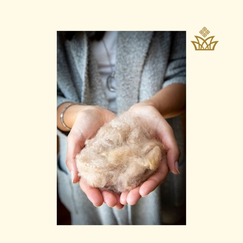 Alpaca Wool Fiber traits