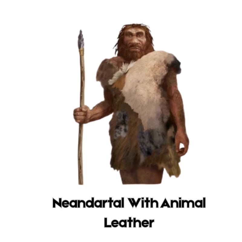 Characteristics of Leather Fabric