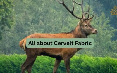 Exclusive Cervelt Fabric: New Star in Modern Luxury Fashion