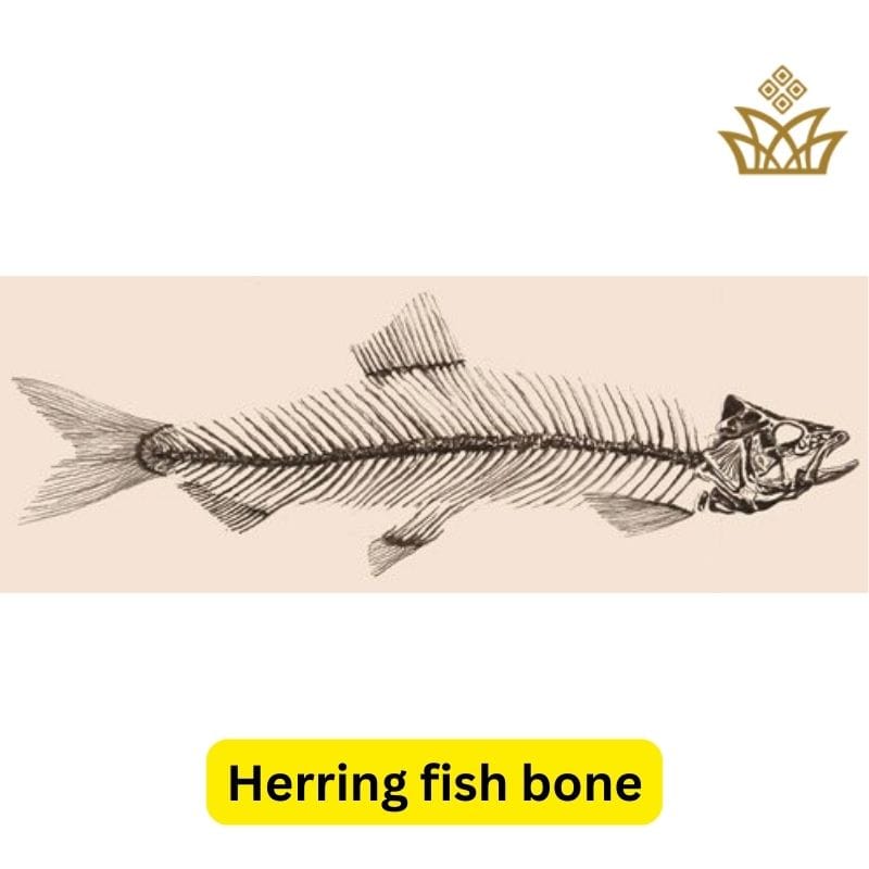 Brief History of Herringbone Fabric