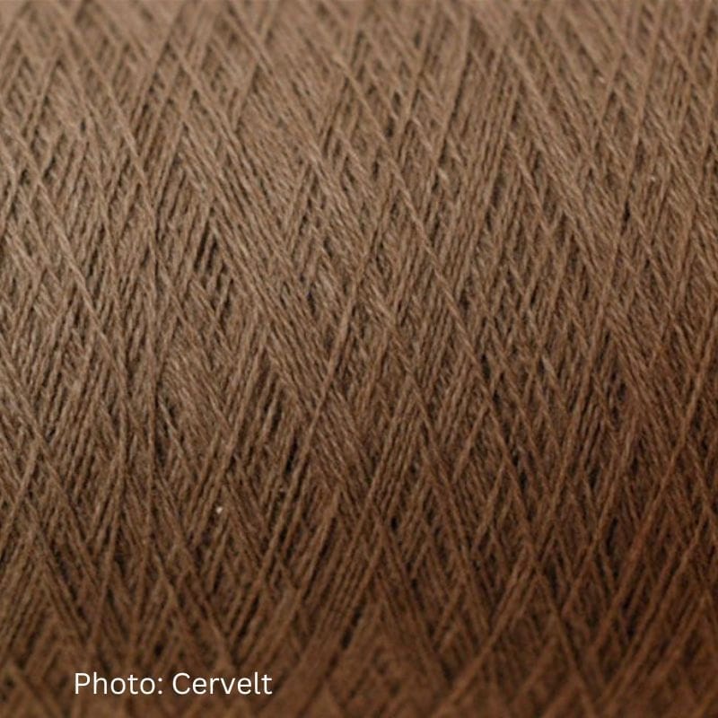 Impact of Cervelt on the Luxury industry